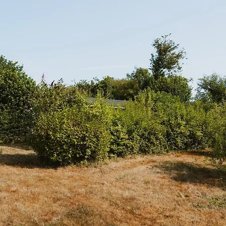 Petit Maison d'hôtes *